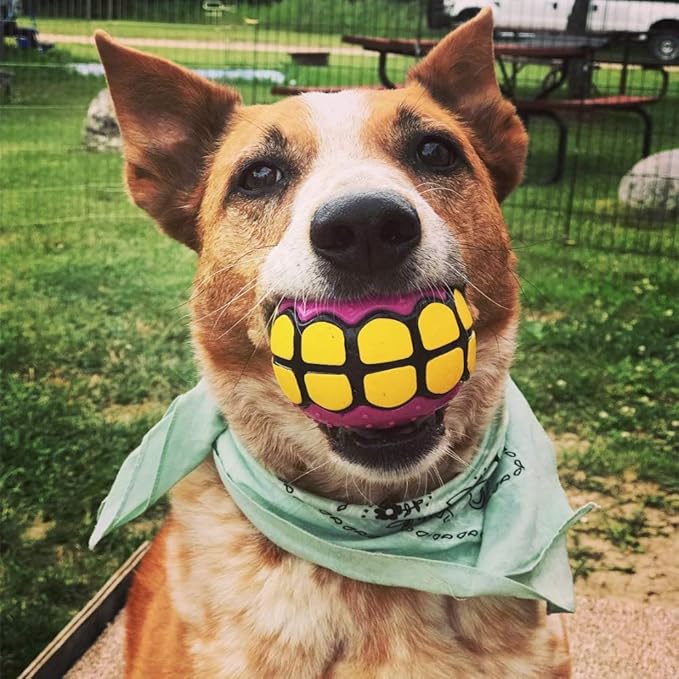 Dog Balls Toys - Squeaky Fetch Rubber Funny Ball Gifts for Large Medium Dogs (Pink Yellow)