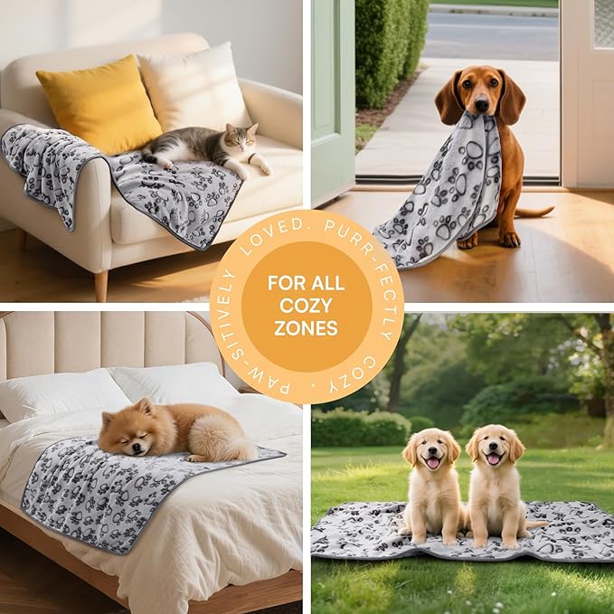 Luciphia 1 Pack 6 Dog Blankets Cat Soft Fluffy Fleece Pet Blanket Warm Cute Print Design Puppy Kitten Doggy Paw Grey Small(23"x16")