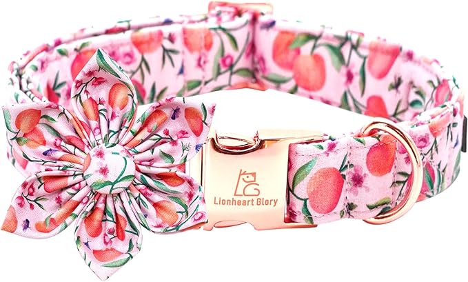 Lionheart Glory Pink Peach Flower Dog Collar - Soft, Durable, Adjustable for Medium Dogs