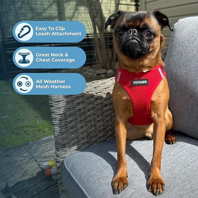 Best Pet Supplies Voyager Step-in Air Harness - All Weather Mesh, Reflective, No Pull Harness for Dogs, Cats - Secure with Hook & Loop Fastener, Buckle, Double D-Rings - Red, XXS