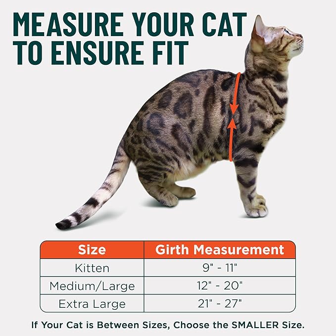 Houdini™ Escape Proof Kitten Harness and Leash Set by OutdoorBengal – Black, Small Cat Harness for Walking