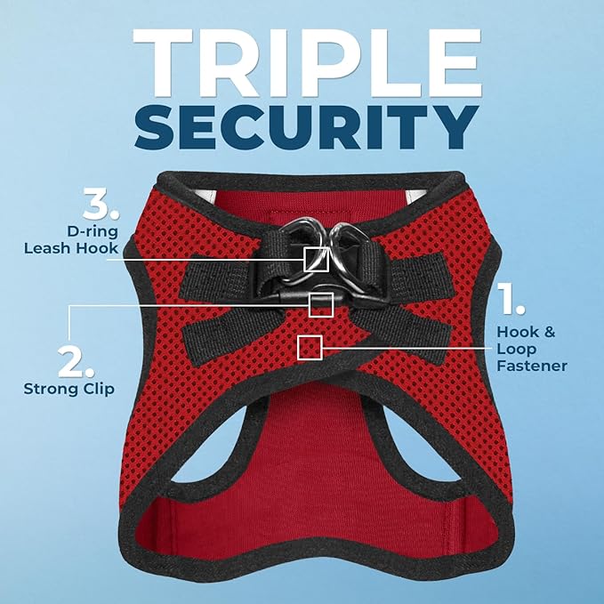 Best Pet Supplies Voyager Step-in Air All Weather Mesh Harness and Reflective Dog 5 ft Leash Combo with Neoprene Handle, for Small, Medium and Large Breed Puppies - Red/Black Trim, Small