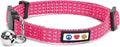 Pawtitas Reflective Pink Cat Collar with Safety Buckle and Removable Bell for Kitten and Cats