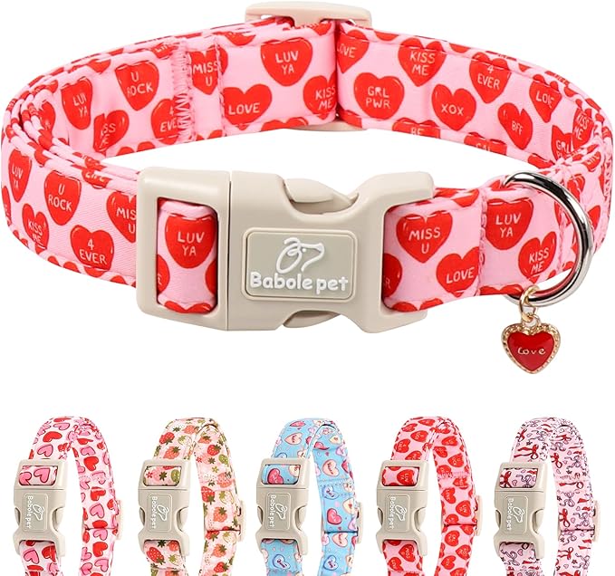 Valentines Dog Collar for Medium Dogs - Valentine Red Conversation Hearts Dog Collars, Love Boy Girl Dogs Collars, Lightweight Adjustable Cute Puppy Collar with Quick-Release Buckle M