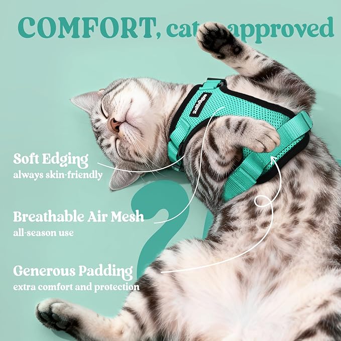 rabbitgoo Cat Harness and Leash for Walking, Escape Proof Soft Adjustable Vest Harnesses for Cats, Easy Control Breathable Reflective Strips Jacket, Emerald, M