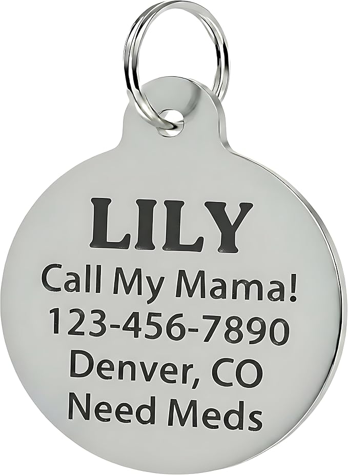 Bad Tags Personalized Dog and Cat ID Tags in 25+ Designs and 2 Sizes - 5 Lines of Custom Engraved Text - Funny Cute Personalized Pet Tags (House Hippo - Pink, Large (1.25 inch))