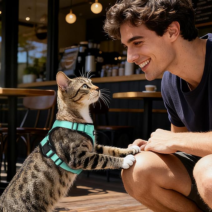 Dooradar Cat Harness and Leash Set, Escape Proof Safe Adjustable Kitten Vest Harnesses for Walking, Easy Control Soft Breathable Mesh Jacket with Reflective Strips for Cats, Green, S