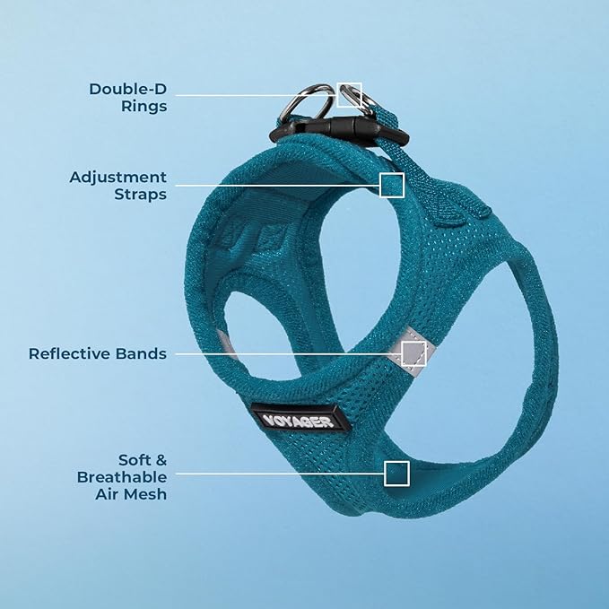 Best Pet Supplies Voyager Step-in Air Harness - All Weather Mesh, Reflective, No Pull Harness for Dogs, Cats - Secure with Hook & Loop Fastener, Buckle, Double D-Rings - Turquoise, L