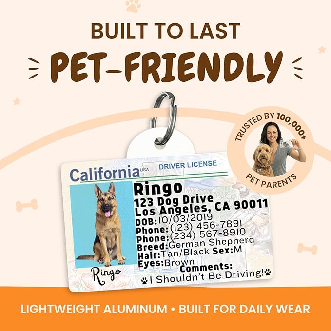 PawFurEver Personalized Dog Driver License ID Tag for Dogs & Cats - Custom Pet License Dog ID Tags Personalized Heavy Duty with Name, Photo & Phone Number, 50 States + DC (Wisconsin, Wallet Card)