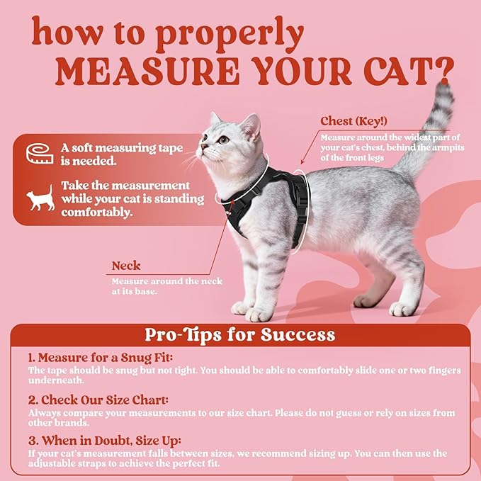 rabbitgoo Cat Harness and Leash for Walking, Escape Proof Soft Adjustable Vest Harnesses for Cats, Easy Control Breathable Reflective Strips Jacket, Black, M