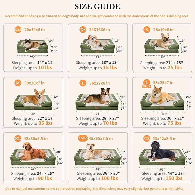 Comfort Expression Orthopedic Dog Bed for Medium Dogs 28x19 Inch, Waterproof Egg Crate Foam Medium Pet Bed with Removable Bolsters, Dog Couch with Washable Cover & Non-Slip Bottom, Light Green