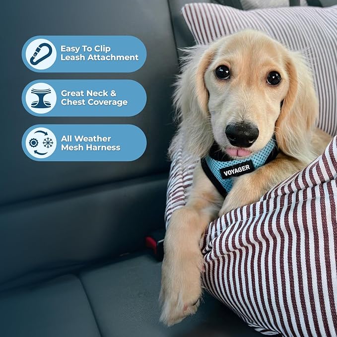 Best Pet Supplies - All Weather Mesh / Plush, Reflective, No Pull Harness for Small, Medium Dogs, Cats - Secure with Hook & Loop Fastener, Buckle, Double D-Rings - Baby Blue/Black Trim, XL