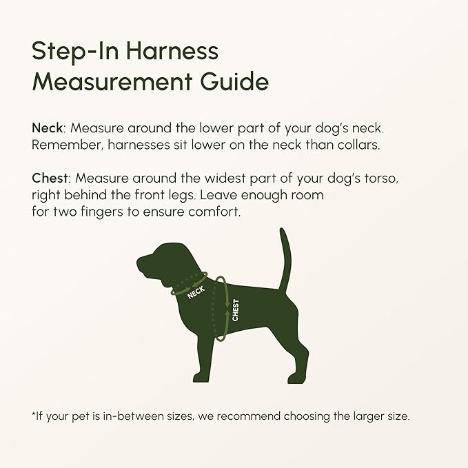 Downtown Pet Supply Step in Dog Harness for Small Dogs - Adjustable, Escape Proof Dog Harness with Reflective Trim - All-Weather, Fast-Drying Padded Mesh Fabric - Lilac, XXS