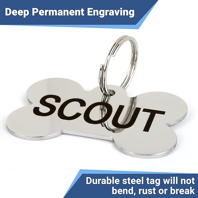 GoTags Stainless Steel Pet ID Tags, Personalized Dog Tags and Cat Tags, up to 8 Lines of Custom Text, Engraved on Both Sides, in Bone, Round, Heart, Bowtie and More (Star, Small (Pack of 1))