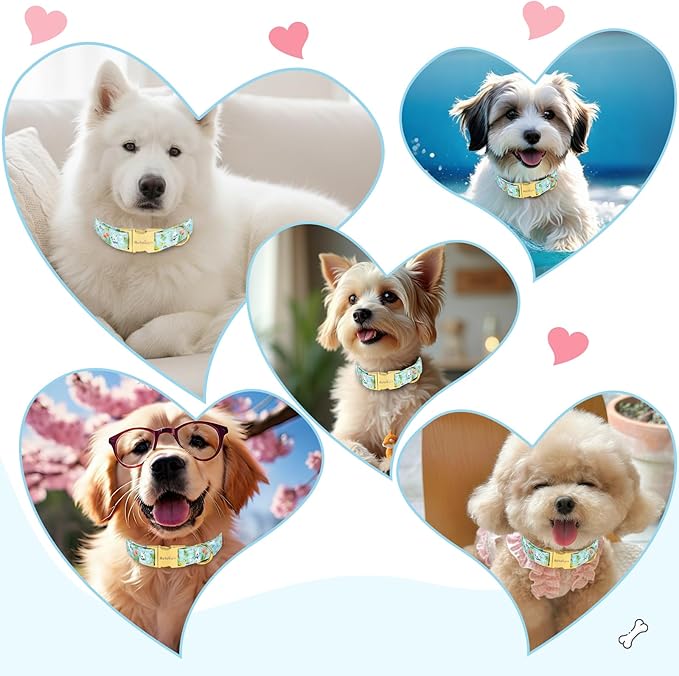 Easter Dog Collar for Small Dogs, Easter & Spring Theme Small Dog Collar with Cute White Bunny Pattern, Adjustable Blue Easter Dog Collars Girl Boy Collar for Dogs -S