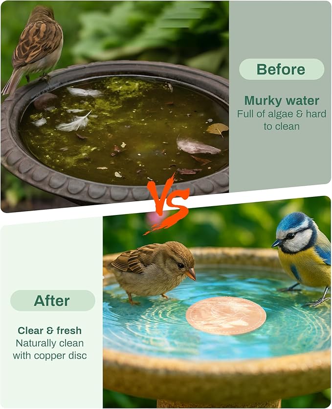 Bird Bath Purification Disk Pure Copper Outside Winter Solar Power Birdbath Humming Bee Water Fountain Window Feeder Stand Nectar Food Pole House Hanging Birdhouse Flower Bird Accessories