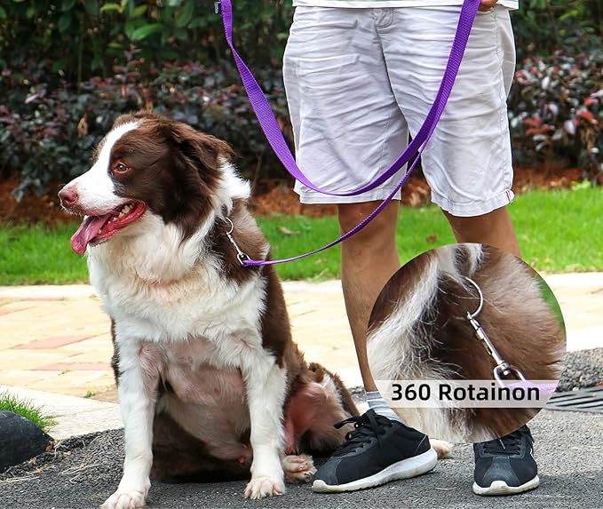 AMAGOOD Dog/Puppy Obedience Recall Training Agility Lead-15 ft 20 ft 30 ft 50 ft Long Leash-for Dog Training,Tie Out,Play,Safety,Camping (30Feet x 1Inch, Purple)