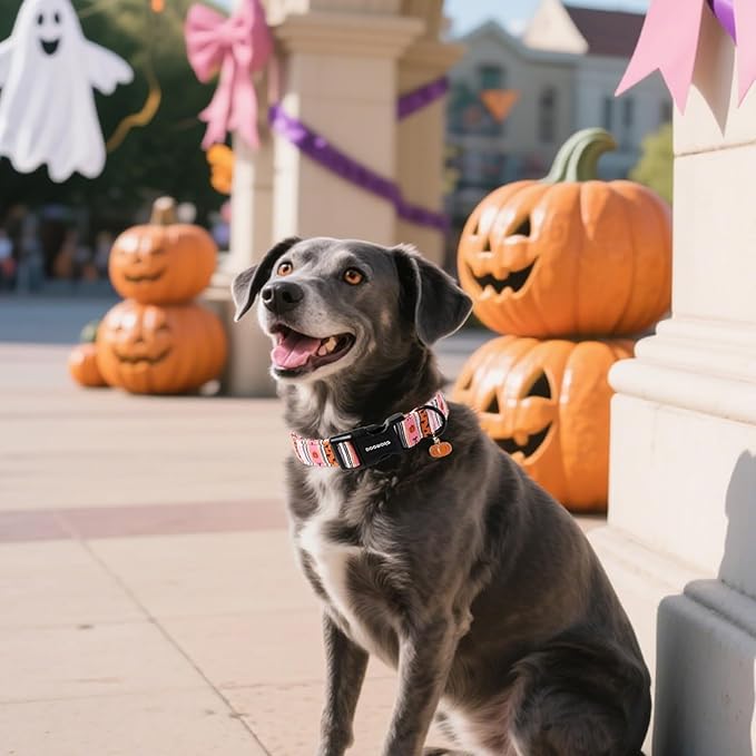 DOGWONG Fall Dog Collar- Pink Halloween Dog Collars Adjustable Classic Halloween Dog Collar for Small Medium Large Dogs XS