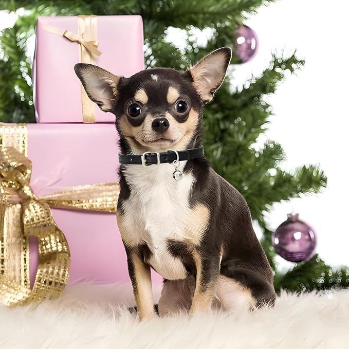 Black Small Collar with Bell, Soft Pu Leather Cat Collars Adjustable Buckle for XXS XS Extra Small Medium Tiny Male Boys Girls Pets Dogs Kitten Teacup Yorkie S