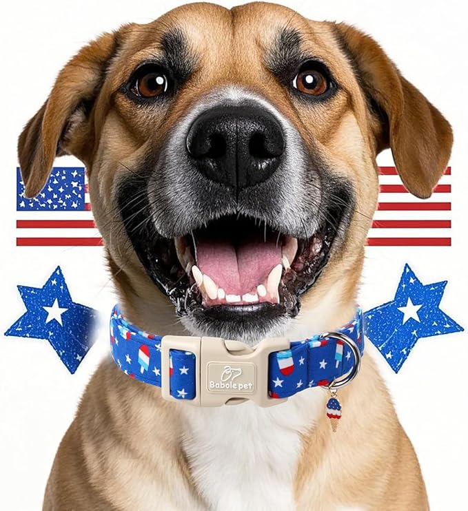 4th of July Dog Collar, Summer Popsicle Patriotic Dog Collars for Large Dogs, Adjustable Lightweight Quick-Release Buckle Collar for Boy&Girl Dogs L