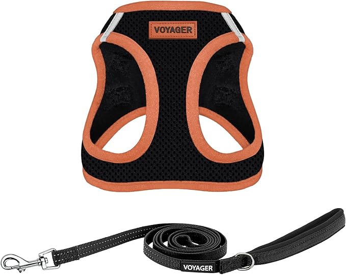 Best Pet Supplies Voyager Step-in Air All Weather Mesh Harness and Reflective Dog 5 ft Leash Combo with Neoprene Handle, for Small, Medium and Large Breed Puppies - Black/Orange Trim, X-Large