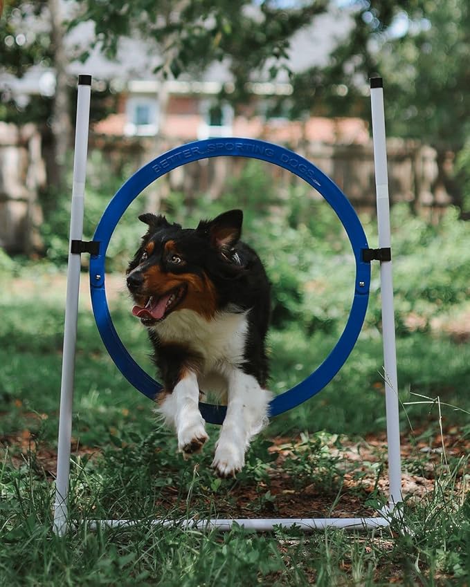Better Sporting Dogs 4 Pack Adjustable Dog Agility Jumps w/Safety-Focused Features | 2 Bar Jumps with Cup Strips | 2 Breakaway Tire Jumps
