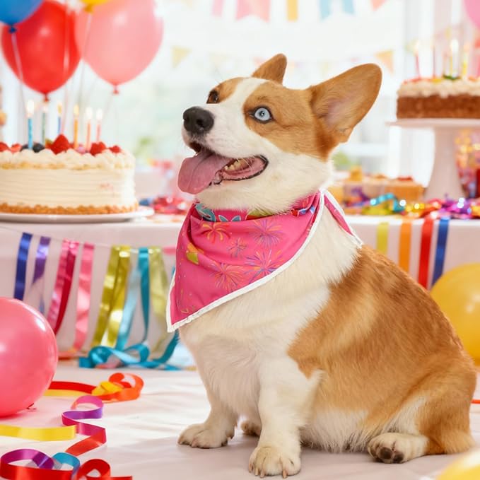Birthday Dog Bandanas Girl,Pink Reflective Dogs Scarfs for Birthday Party Decorations Supplies for Dogs Pet Accessories,Cat Dogs Triangle Pet Scarves for Medium Dogs Outfit,M