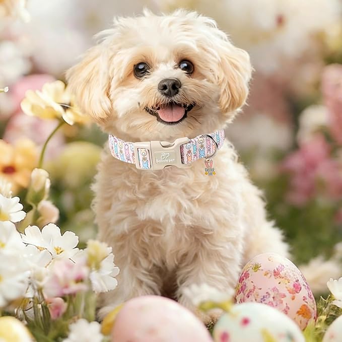 Easter Dog Collar for Giant Large Dogs - Pastel Bunny Easter Collars for Female Dogs, Cute Spring Girl Dog Collar, Lightweight Adjustable Cartoon Holiday Pet Collars XL