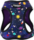 Downtown Pet Supply Step-in Dog Harness – No Pull, Adjustable Padded Mesh with Reflective Trim, Secure Buckle Strap – Comfortable & Breathable Small Dog Harness, Small, Space