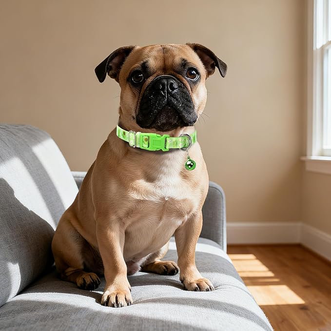 Small Dog Collar with Bell - Durable Nylon Collar for Small Breeds,Adjustable Cute Fruit Pattern Collar for Chihuahua Pomeranian Yorkie, Heavy-Duty for Active Puppie（Avocado S）