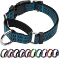 Martingale Dog Collar, Adjustable Nylon Reflective Collar with Quick Release Buckle (Gentian Blue, Small)