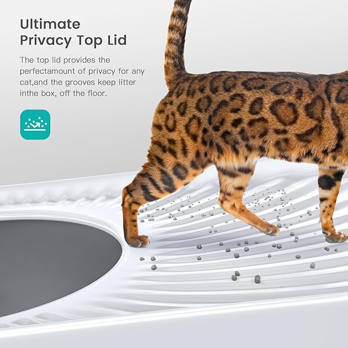 Stainless Steel Cat Litter Box, Large Top Entry Litter Box for Big Cats, Enclosed Kitty Litter Pan with Lid, Metal Cat Box Never Absorbs Odors, Easily Cleaning, Include Scoop