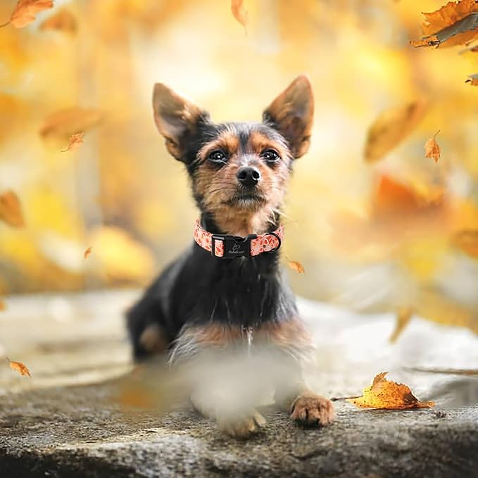 Fall Dog Collar, Cute Football Pattern Puppy Collar, Orange Adjustable Cotton Holiday Tanksgiving Dog Collars for Small Medium Large Boy&Girl Dogs M