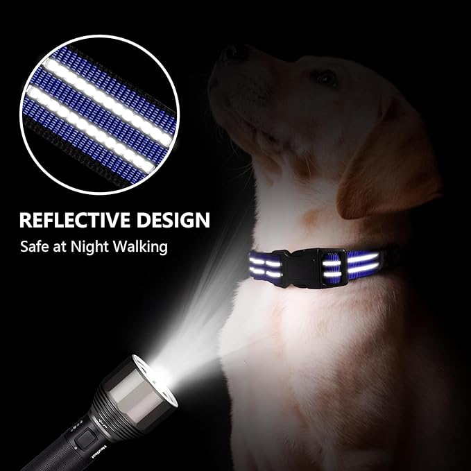 Martingale Dog Collar, Adjustable Nylon Reflective Collar with Quick Release Buckle (Royal Blue, Small)