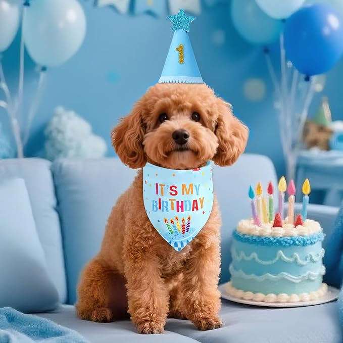 Dog Birthday Party Supplies with Hat Bandana Numbers, Light Blue Dog Birthday Set for Large Medium Pets Puppy Boy