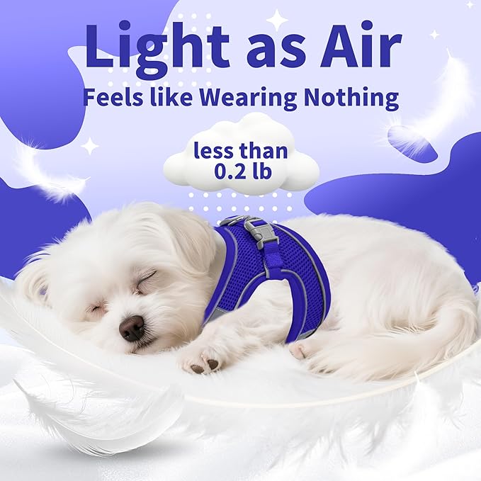 AIITLE Small Harness for Puppy with A Leash - Dog Vest Harness with Super Breathable Mesh, Reflective No-Pull Pet Harness for Outdoor Walking, Running for Small Dogs, Cats Royal Blue XXS