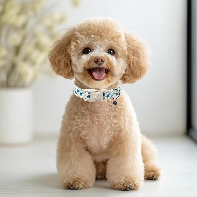Spring/Summer Dog Collar for Small Dogs - Fresh Blueberry Girl Boy Dog Collars, Soft Lightweight Puppy Collar, Breathable Adjustable Male Female Fruit Floral Dogs Collars XS