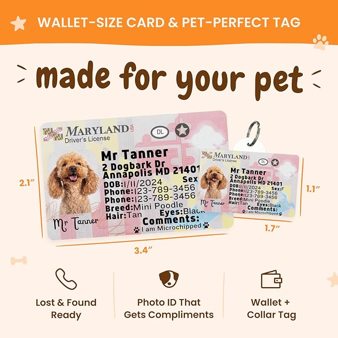 PawFurEver Personalized Dog Driver License ID Tag for Dogs & Cats - Custom Pet License Dog ID Tags Personalized Heavy Duty with Name, Photo & Phone Number, 50 States + DC (Mississippi, Tag)