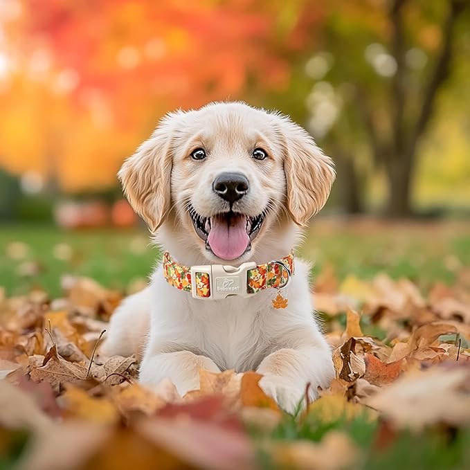 Fall Dog Collar Cute Autumn Leaves Puppy Collar - Light Comfortable Adjustable Pet Collars for Small Medium Large Girl Boy Dogs L