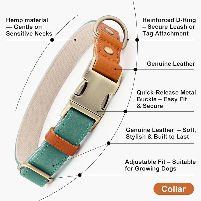 Plutus Pet Genuine Leather & Hemp Dog Collar – Adjustable Heavy Duty Pet Collar with Quick Release Metal Buckle, Soft & Stylish for Puppy and Small, Medium, Large Dogs (Green, XS)