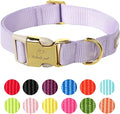 Nylon Dog Collar - Adjustable Lavender Soft Webbing Dog Collars for Small Medium Large Dogs Boy Girl Puppy Collar with Safety Metal Buckle L