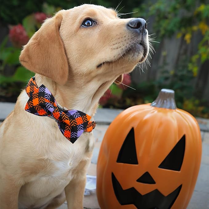 Halloween Dog Collar, Pet Collar Bow Plaid Dog Collars Girl Boy Holiday Pet Collar Gift Bow Collar Cute Soft Puppy Collar for X-Small Puppy