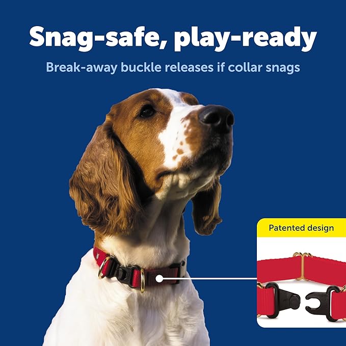 PetSafe KeepSafe Collar for Dogs - Protects Against Collar Accidents - Long Lasting - Durable - Adjustable - Breakaway - Outdoor-Safe - Large - 1 In. Wide - Blue