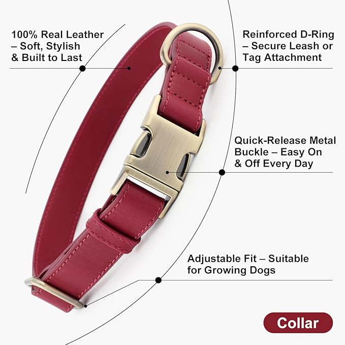 Plutus Pet Genuine Leather Dog Collar – Adjustable Pet Collar with Quick Release Metal Buckle, Soft Real Leather for Small Medium Large Dogs, Heavy Duty & Skin-Friendly (Burgundy, M)