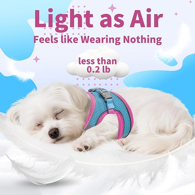 AIITLE Comfortable Dog Harness and Leash Set for Walking - Step in Vest Harness,Reflective Bands, Adjustable No Pull Puppy Essentials, for Small Dogs and House Cats Pink XS