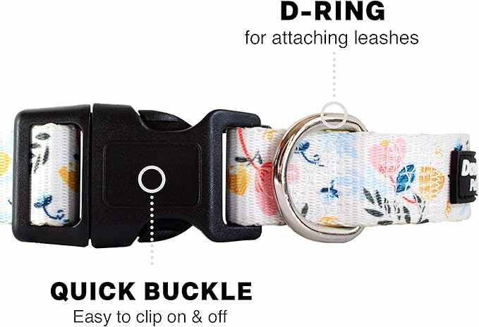 Downtown Pet Supply - Best & Fancy Dog Collar - Lightweight Adjustable with Quick Buckle & D-Ring - Hand Wash Safe - Floral - Large