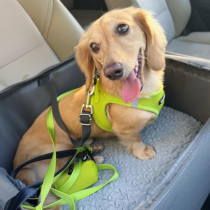 Best Pet Supplies Voyager Step-in Air Harness - All Weather Mesh, Reflective, No Pull Harness for Dogs, Cats - Secure with Hook & Loop Fastener, Buckle, Double D-Rings - Lime Green, L