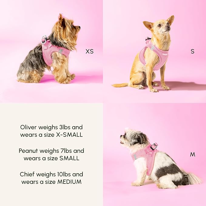 Downtown Pet Supply Step in Dog Harness for Large Dogs - Adjustable, Escape Proof Dog Harness with Reflective Trim - All-Weather, Fast-Drying Padded Mesh Fabric - Tangerine, XX-Small