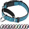 Martingale Dog Collar, Adjustable Nylon Reflective Collar with Buckle No Pull Dog Collar for Small Medium Large Dogs（Blue L