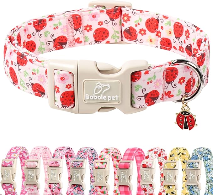 Lucky Ladybug Dog Collar for Medium Dogs - Sweet Pink Girl Dog Collars, Lightweight Adjustable Spring Garden Mom Dogs Collars with Quick Release Buckle M